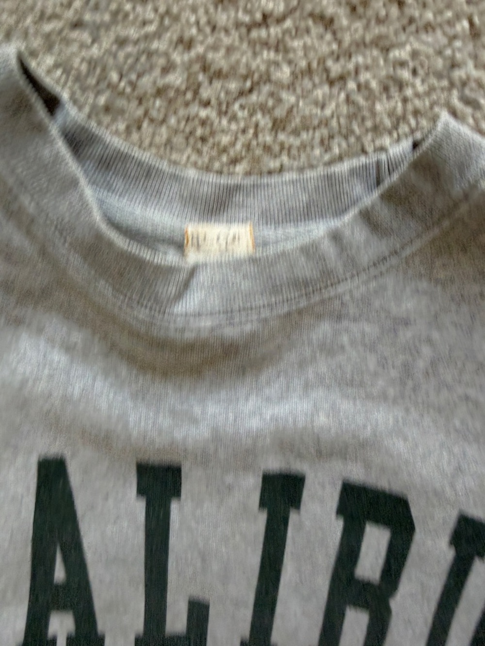 Brandy Melville Gray Crewneck with Dark Green "MALIBU" Lettering - Picture 2 of 2